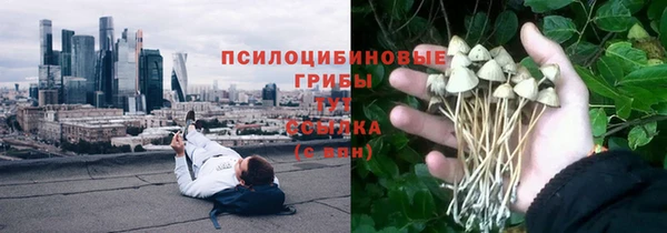 ешки Вязники